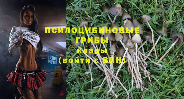 стаф Мегион