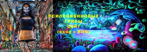 спиды Михайловск