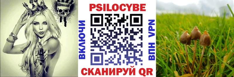 Галлюциногенные грибы Magic Shrooms  Пошехонье 