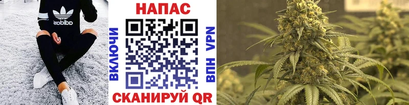 Марихуана планчик  как найти закладки  Пошехонье 